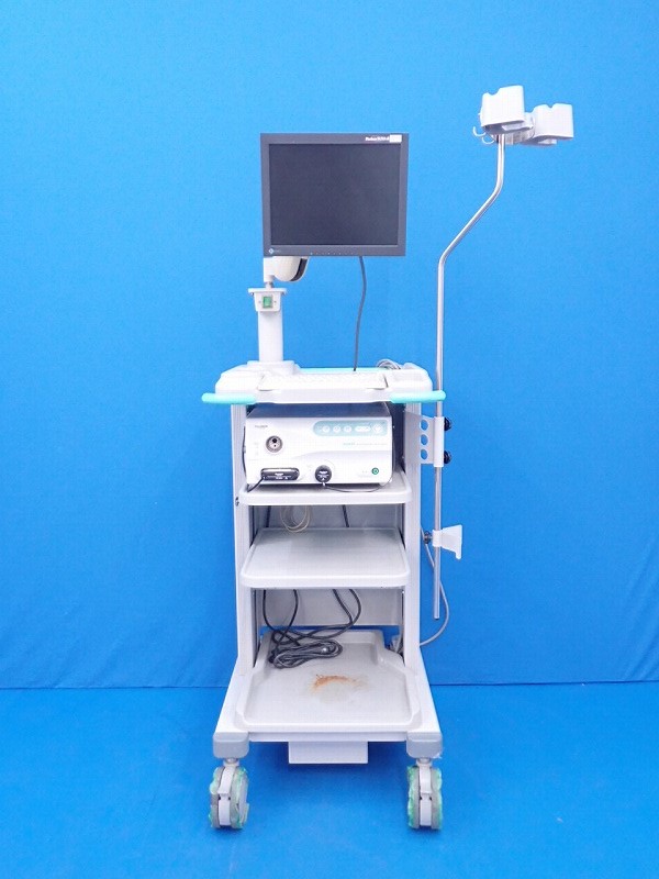 Video Endoscope System