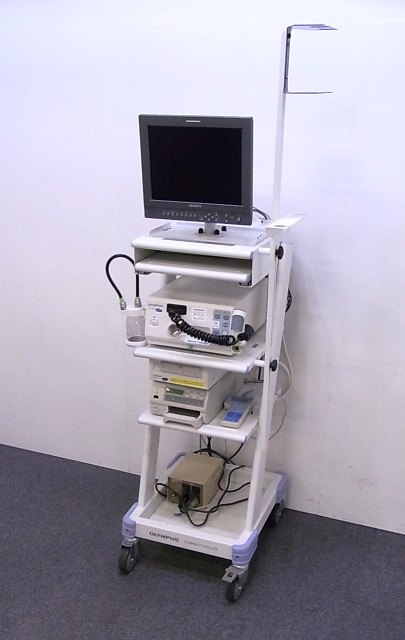 Video Endoscope System